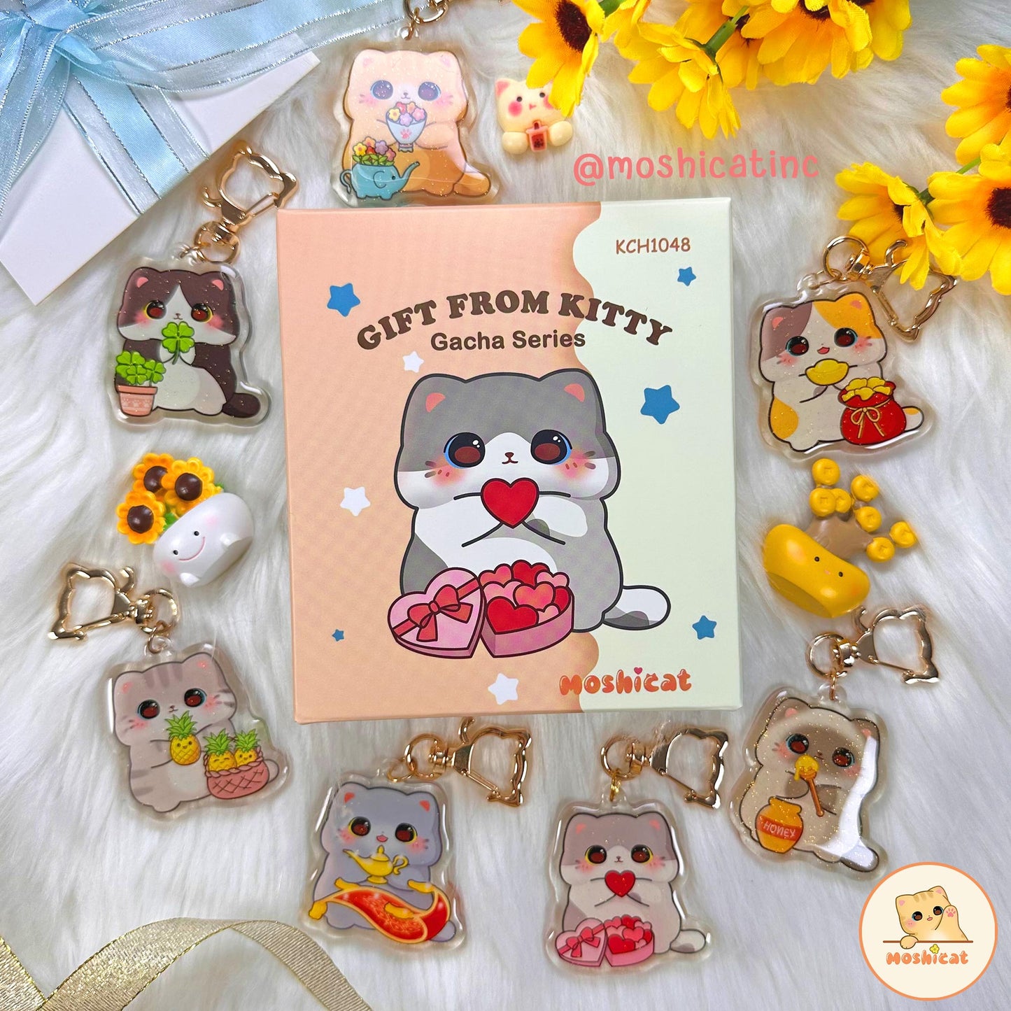 Gifts from kitty blind box