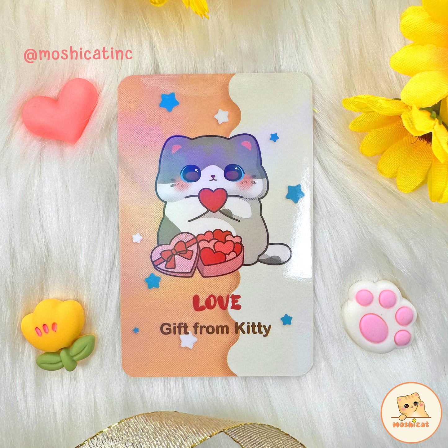 Gifts from kitty blind box