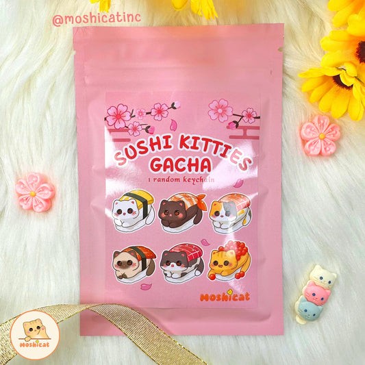 Sushi kitty keychain Gacha / blind bag