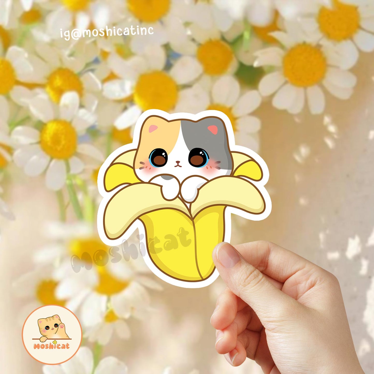 Kitty in peeled banana glossy Vinyl sticker